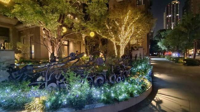 打造年節氛圍  中市府開放市區行道樹免費懸掛燈飾 | 華視新聞