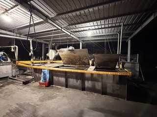 屏東養豬場違規廚餘飼養　挨罰80萬禁止上市