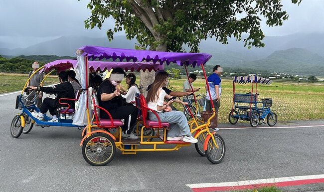 台東休閒慢車驗車僅30餘輛  業者提檢驗費高不合理 | 華視新聞
