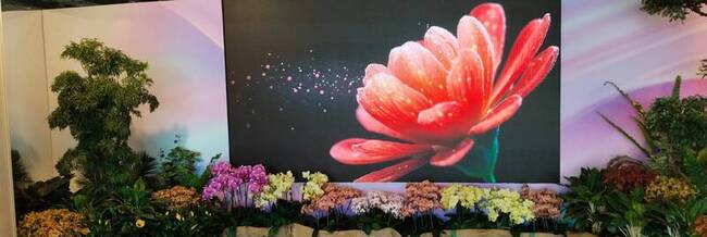 台灣花卉推介會開幕  1500餘品種免費欣賞 | 華視新聞