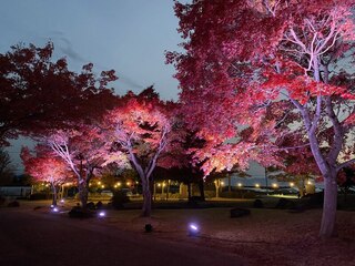 福島縣磐梯町成旅遊新亮點  慢步調吸引台灣旅客