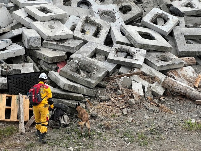 國家MRT搜救犬救援能力認證　16組達國際標準 | 華視新聞