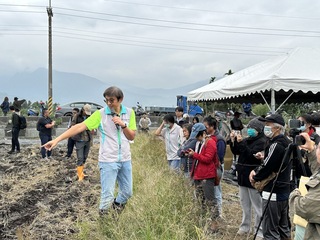 花蓮光復農田泥砂掩埋  改良土壤種雜糧試驗