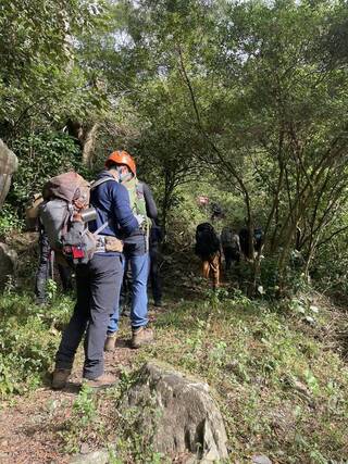 屏東5人疑誤食大花曼陀羅獲救　登山未投保擬開罰