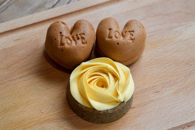 南投烘焙業結合友善石虎農作  消費支持永續保育 | 華視新聞