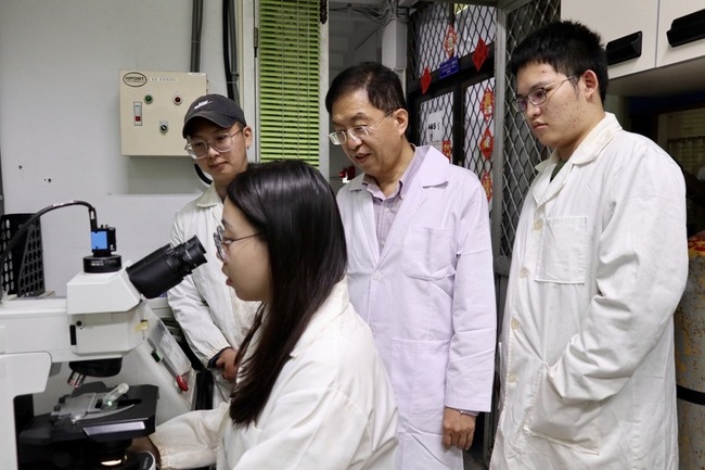 非典型氫鍵量測新突破　助永續能源、光電元件研究 | 華視新聞