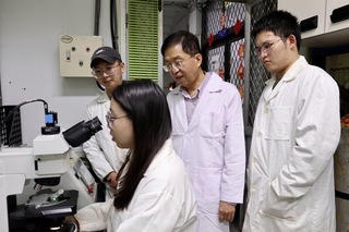 非典型氫鍵量測新突破　助永續能源、光電元件研究