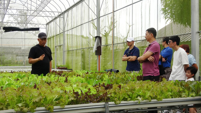 百貨主管變農夫　黃禹靖將台灣蔬菜推上菲律賓餐桌 | 華視新聞