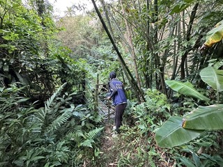 新店五重溪染綠山區追污染源　議員籲善用科技輔助