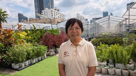 曼谷廚餘去化　市中心商場屋頂農場當堆肥