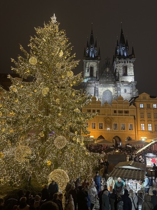布拉格耶誕市集盛大開張  警方加強巡邏維護安全