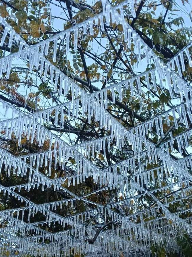武陵農場清晨0.2度　藤花園冰晶宮再現 | 華視新聞