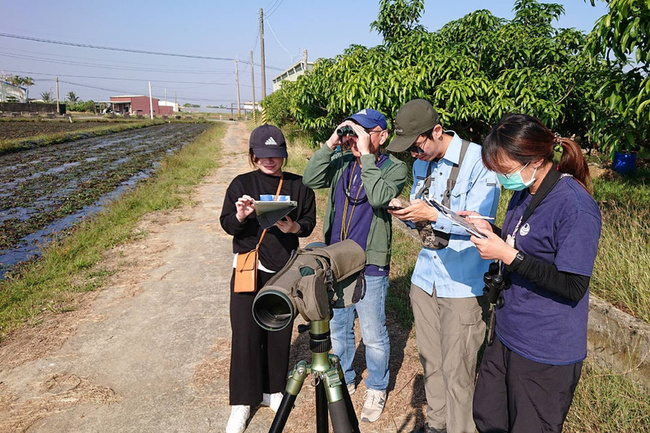 台南水雉族群調查減95隻　研判風災損棲地菱角田 | 華視新聞
