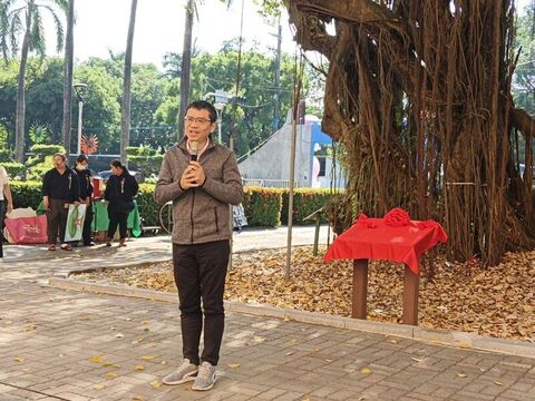 高市中路國小百年榕樹獲列「受保護樹木」 阿蓮首棵