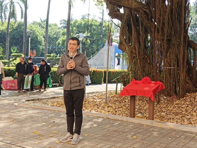 高市中路國小百年榕樹獲列「受保護樹木」 阿蓮首棵 | 華視新聞