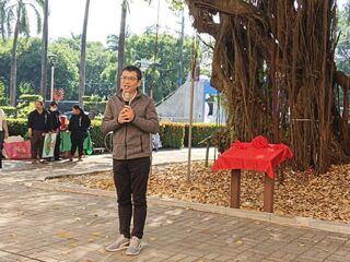 高市中路國小百年榕樹獲列「受保護樹木」 阿蓮首棵