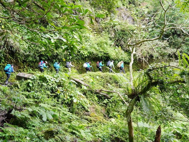 玉山營隊將帶學生訪「有熊國」　學習敬畏態度入山 | 華視新聞