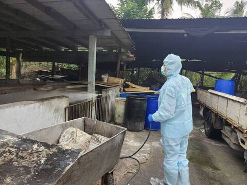 屏東查獲違規廚餘養豬 開罰80萬、畜牧場清消