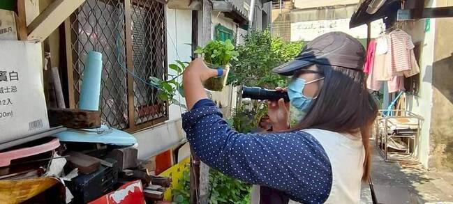 台南第20例登革熱境外移入　馬爾地夫旅遊發病 | 華視新聞