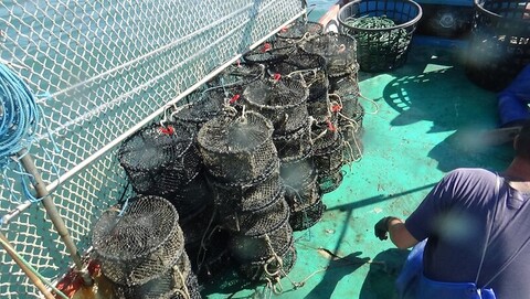 高雄沿海違規籠具 茄萣、永安與彌陀查獲394個