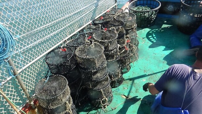 高雄沿海違規籠具　茄萣、永安與彌陀查獲394個 | 華視新聞