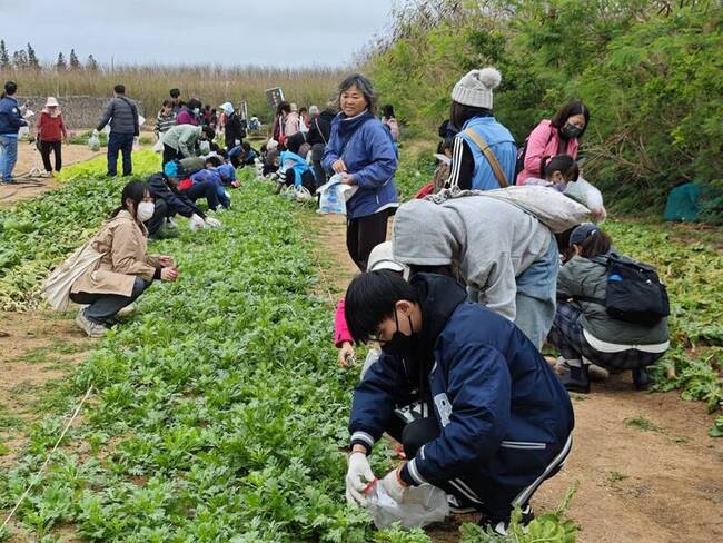 澎湖湖西山海食旅　共遊自然生態饗宴 | 華視新聞
