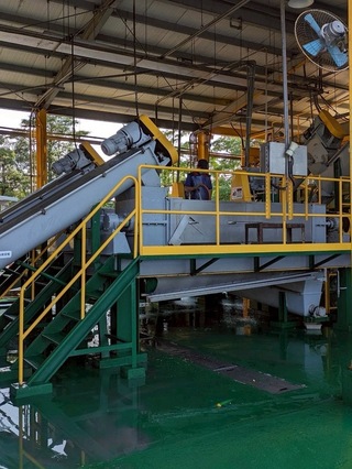 家戶廚餘115年起禁養豬　北市：日產126噸全做堆肥