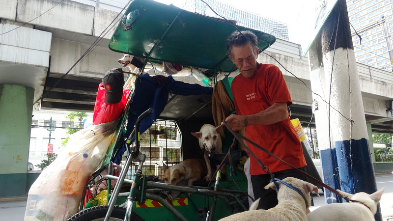 馬尼拉街友卡羅斯給流浪狗一個家