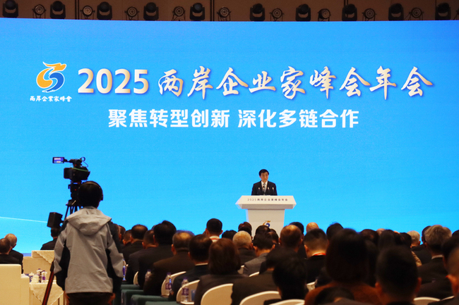 兩岸企業家峰會開幕  王滬寧唱多中國經濟重申一中 | 華視新聞