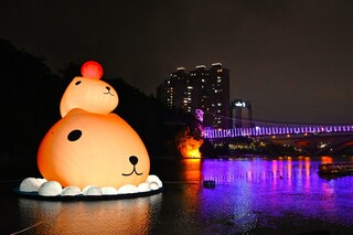 水豚君呆在碧潭倒數中　把握週末最終見面會