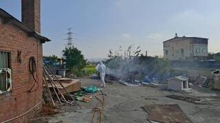 中市府查獲違規廚餘養豬　最高可罰400萬元