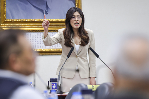 鄭麗文:用最大力量保護國會 推動福國利民法案