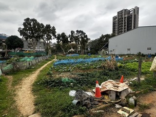 新北林口菜園衝突7旬翁身中4刀　凶嫌逃逸警追緝中