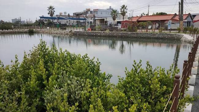 高雄沿海導入藍碳生態系理念　魚塭成示範場域 | 華視新聞