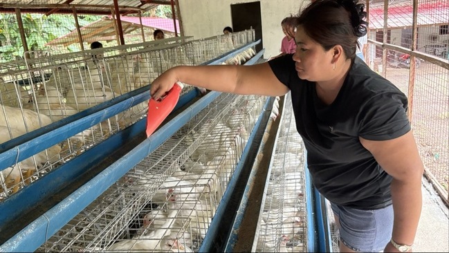 菲律賓災後重建再前進 家扶中心建雞舍助永續經濟 | 華視新聞