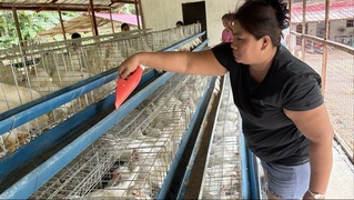 菲律賓災後重建再前進 家扶中心建雞舍助永續經濟