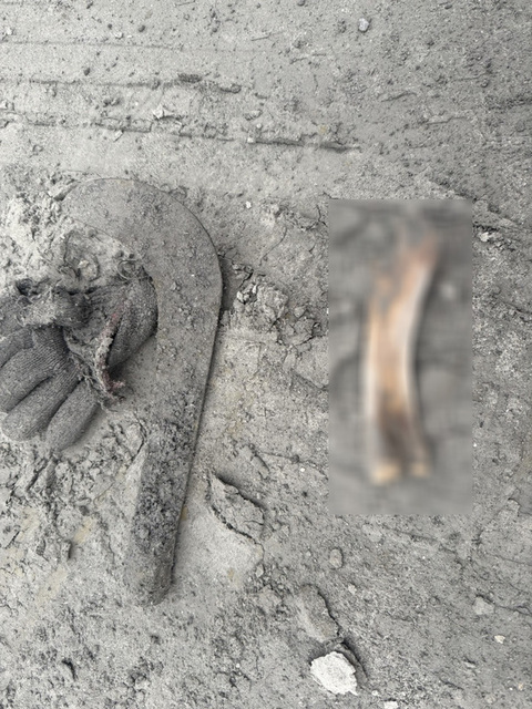 光復災區尋獲失聯夫妻衣物及骨骸  鑑定非人骨