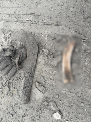 光復災區尋獲失聯夫妻衣物及骨骸  鑑定非人骨