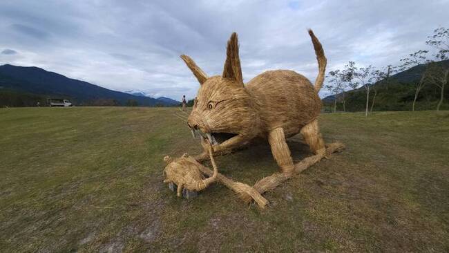 富里稻草藝術季以貓為主題　盼療癒天災受傷花蓮 | 華視新聞