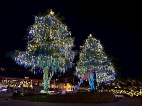 全台海拔最高耶誕樹點燈  山谷燈光節閃耀梨山