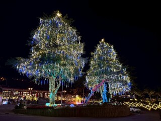 全台海拔最高耶誕樹點燈  山谷燈光節閃耀梨山