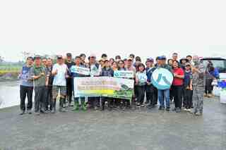 嘉義九芎埤移除外來魚種　打造水雉安心育嬰房