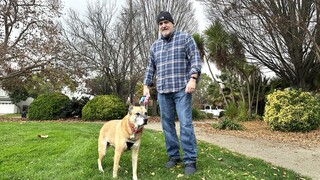 美律師告國稅局主張寵物為被扶養人　飼主受訪多反對