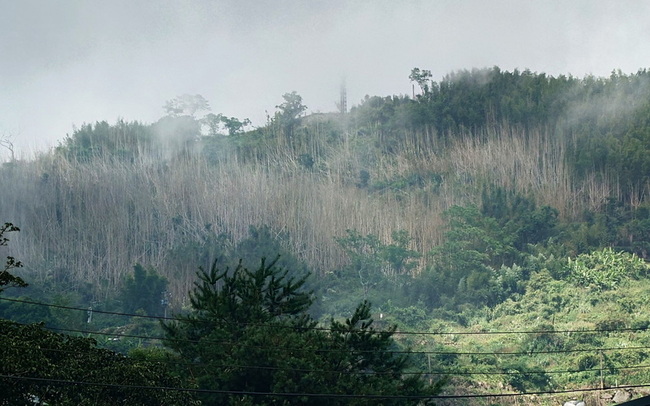 阿里山鄉要普發6000元  嘉義縣各鄉鎮市中最高 | 華視新聞