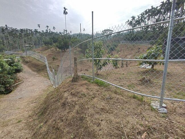 嘉義中埔農民依規範架設電圍網  獼猴不再侵擾果園 | 華視新聞