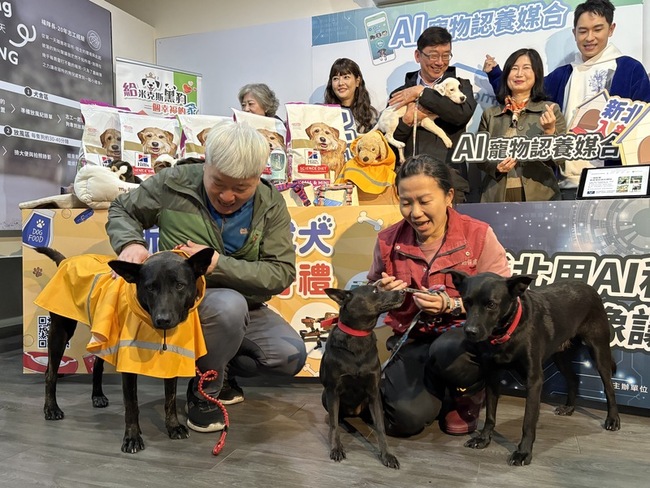 認養寵物不再只靠感覺　新北推AI媒合提高成功率 | 華視新聞