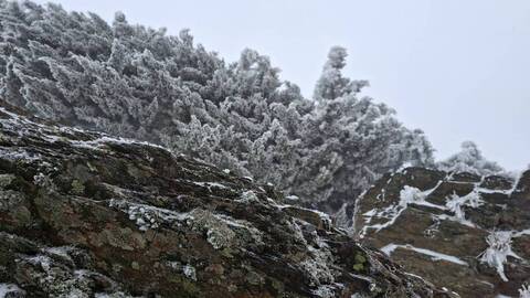 大陸冷氣團影響　玉山北峰中午再度降雪