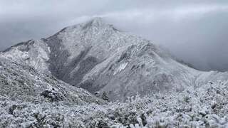 雪霸成銀白世界　高山積雪逾20公分