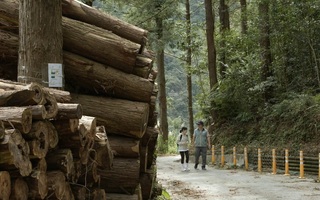 南投林保分署宣導片　深入淺出了解治山防災工程