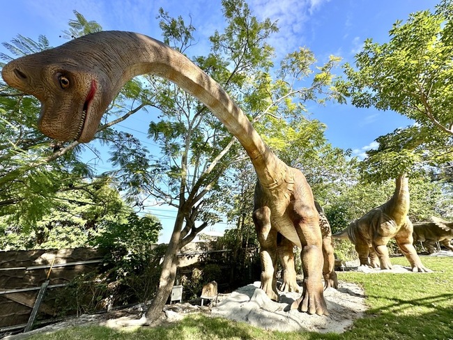 彰化百果山探索樂園將回歸　居民開心：終於等到 | 華視新聞